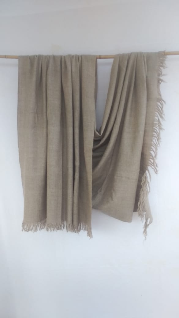 Pashmina Shawl BH-59-SH-22-23