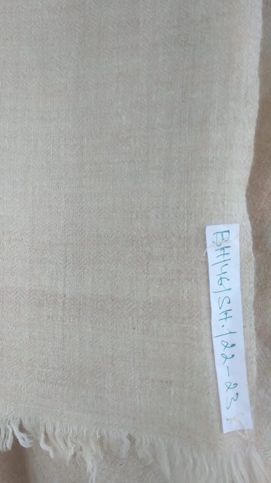Pashmina Shawl BH-46-SH-22-23
