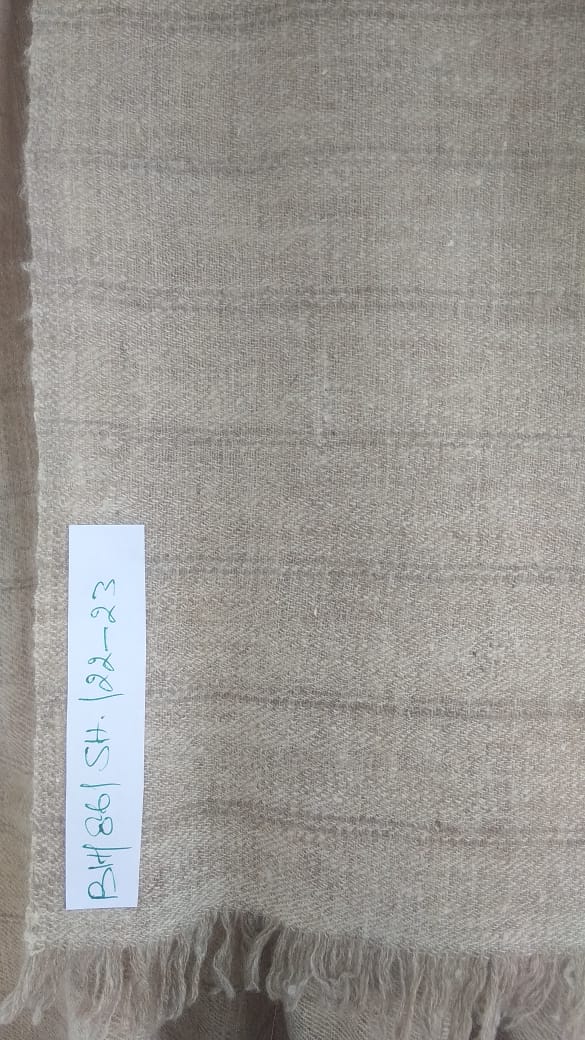 Pashmina Shawl BH-86-SH-22-23