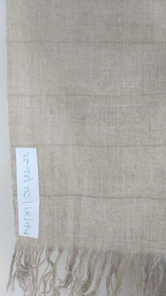 Pashmina Shawl BH-89-SH-22-23