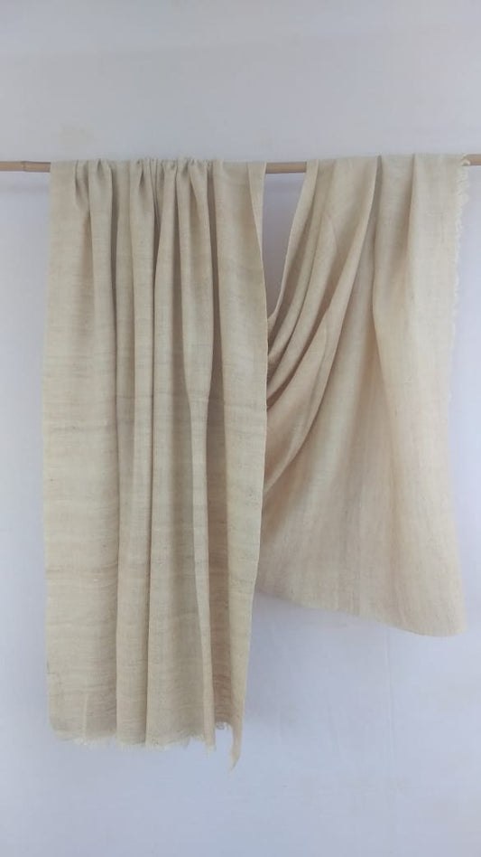 Pashmina Shawl BH-47-SH-22-23