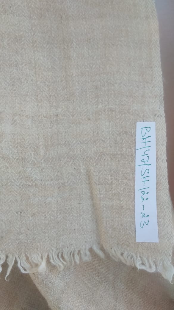 Pashmina Shawl BH-47-SH-22-23