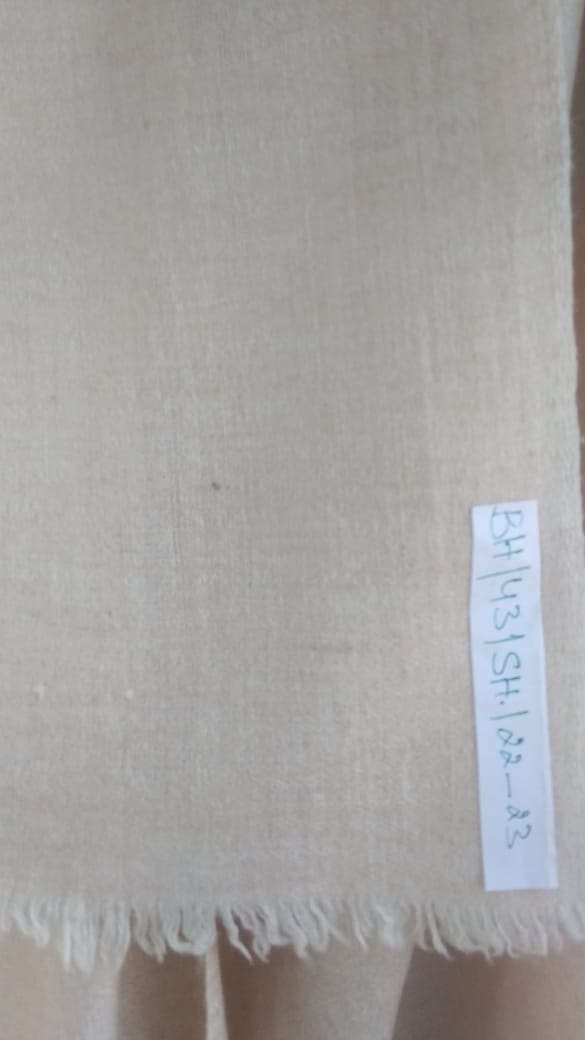 Pashmina Shawl BH-43-SH-22-23