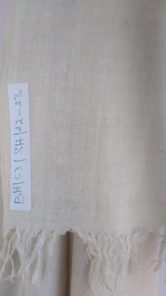 Pashmina Shawl BH-53-SH-22-23