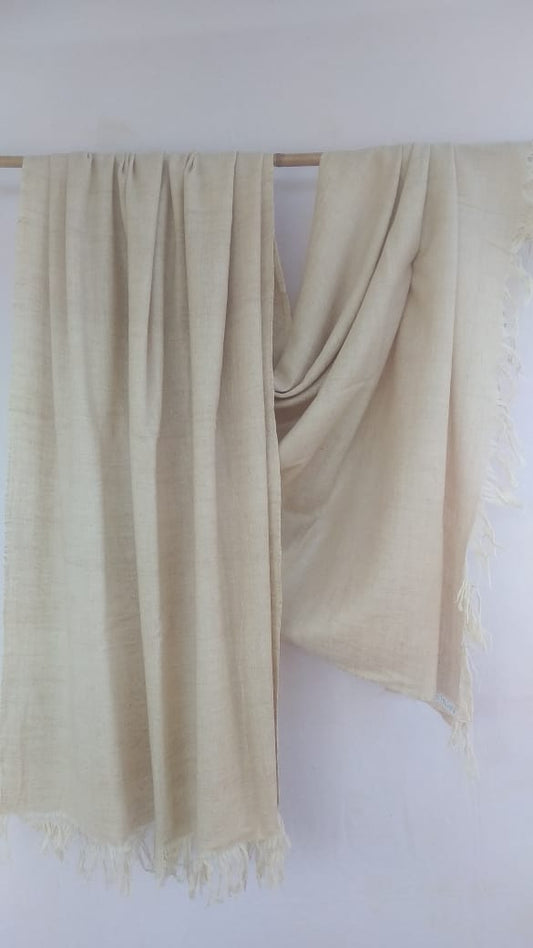 Pashmina Shawl BH-56-SH-22-23