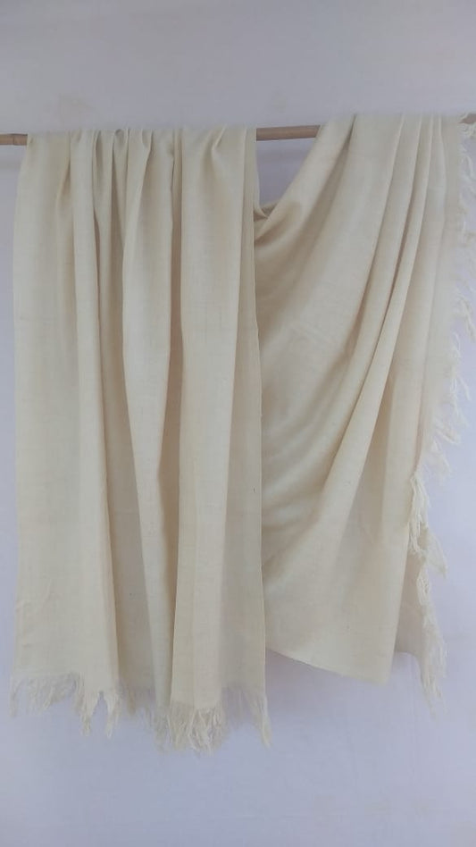 Pashmina Shawl BH-44-SH-22-23