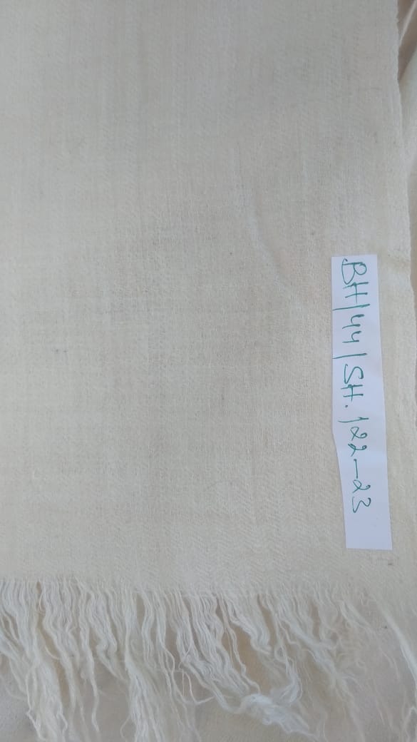 Pashmina Shawl BH-44-SH-22-23