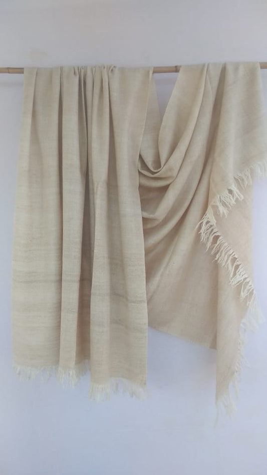 Pashmina Shawl BH-45-SH-22-23