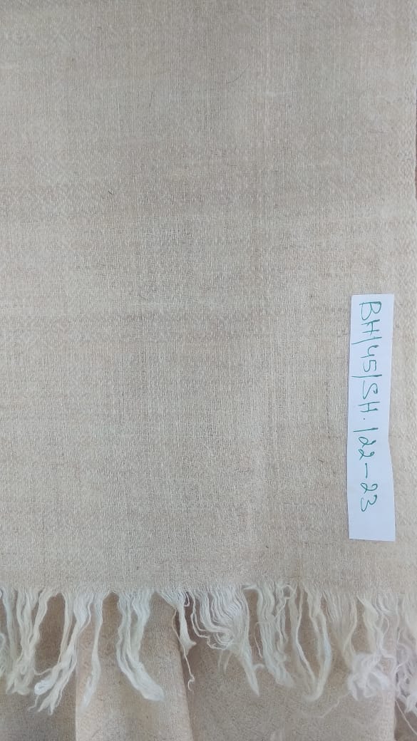 Pashmina Shawl BH-45-SH-22-23