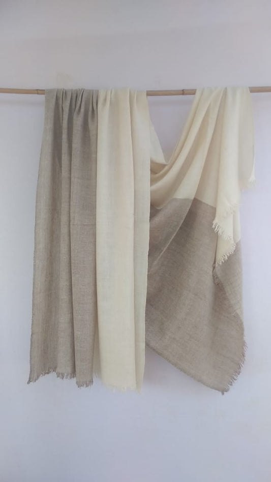 Pashmina Shawl BH-12-SH-22-23