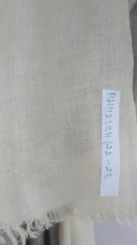 Pashmina Shawl BH-12-SH-22-23
