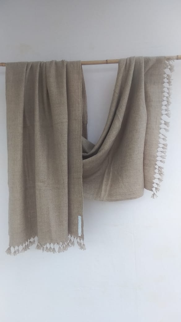 Pashmina Stole BH-06-ST-22-23