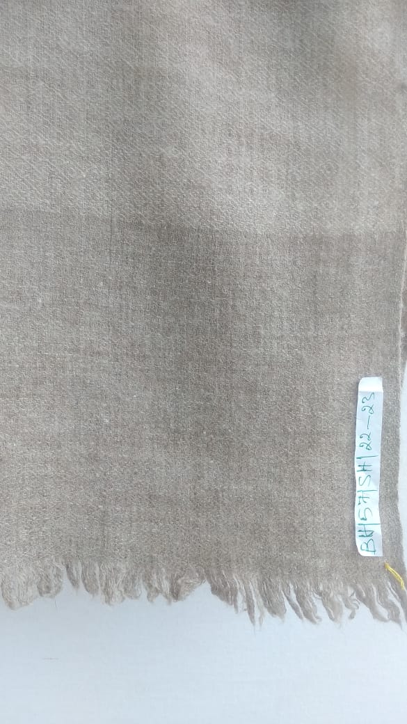 Pashmina Shawl BH-57-SH-22-23