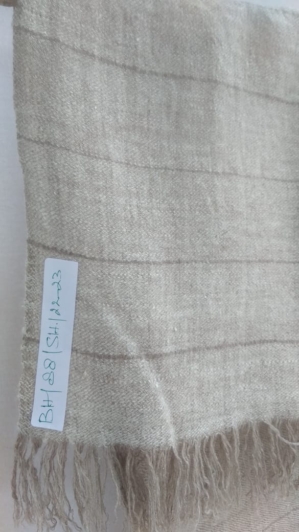 Pashmina Shawl BH-88-SH-22-23
