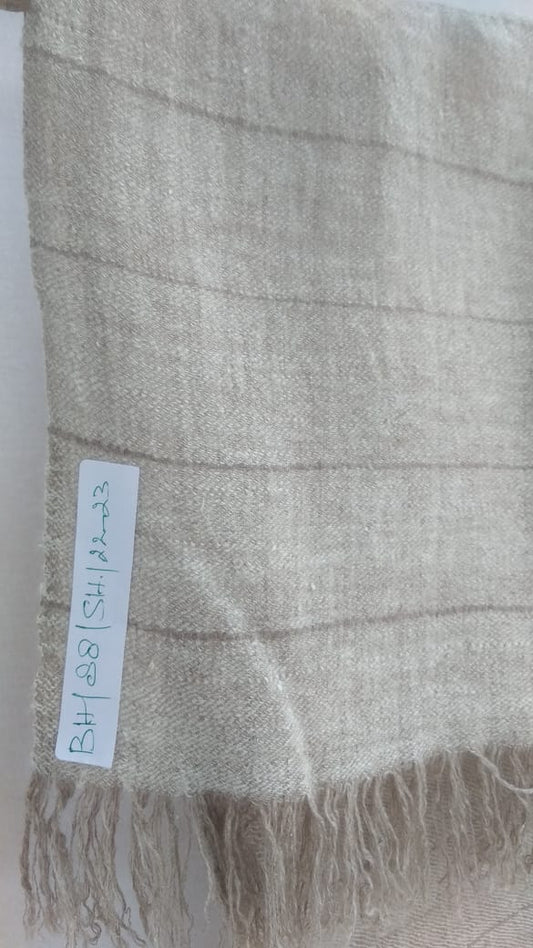 Pashmina Shawl BH-88-SH-22-23