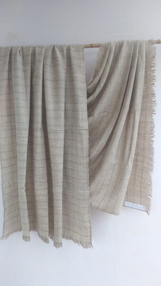 Pashmina Shawl BH-87-SH-22-23