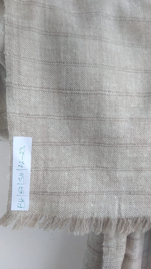 Pashmina Shawl BH-87-SH-22-23