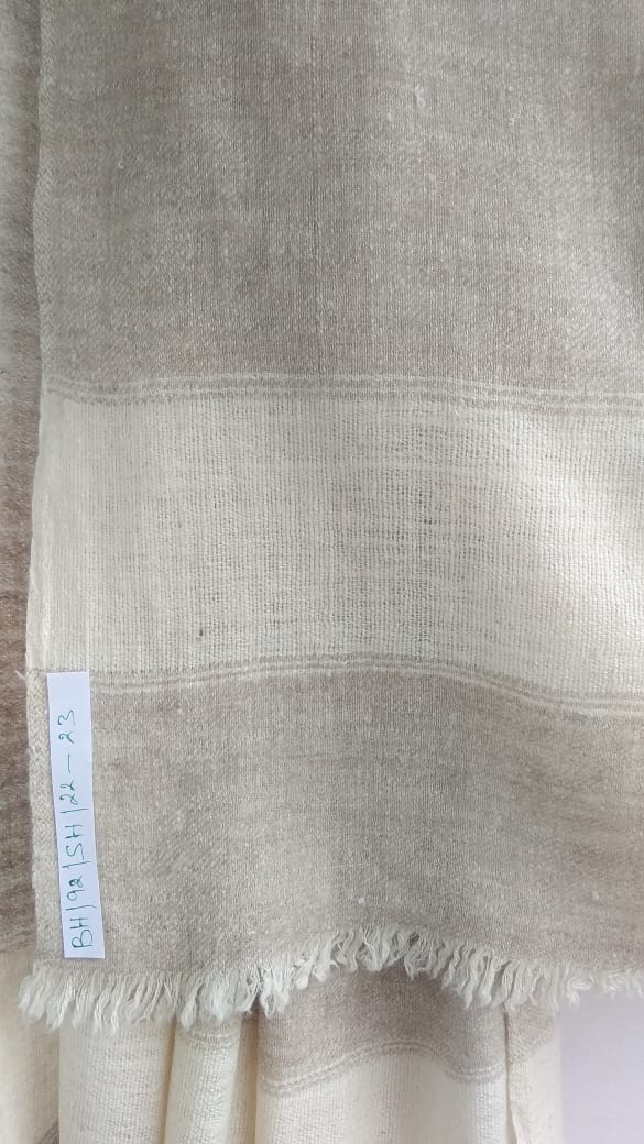 Pashmina Shawl BH-92-SH-22-23