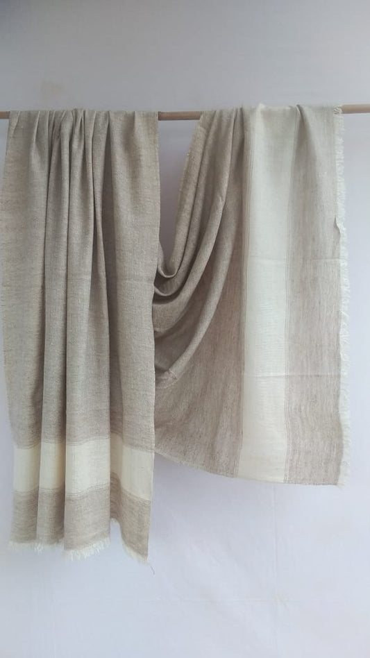 Pashmina Shawl BH-91-SH-22-23