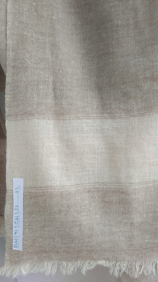 Pashmina Shawl BH-91-SH-22-23