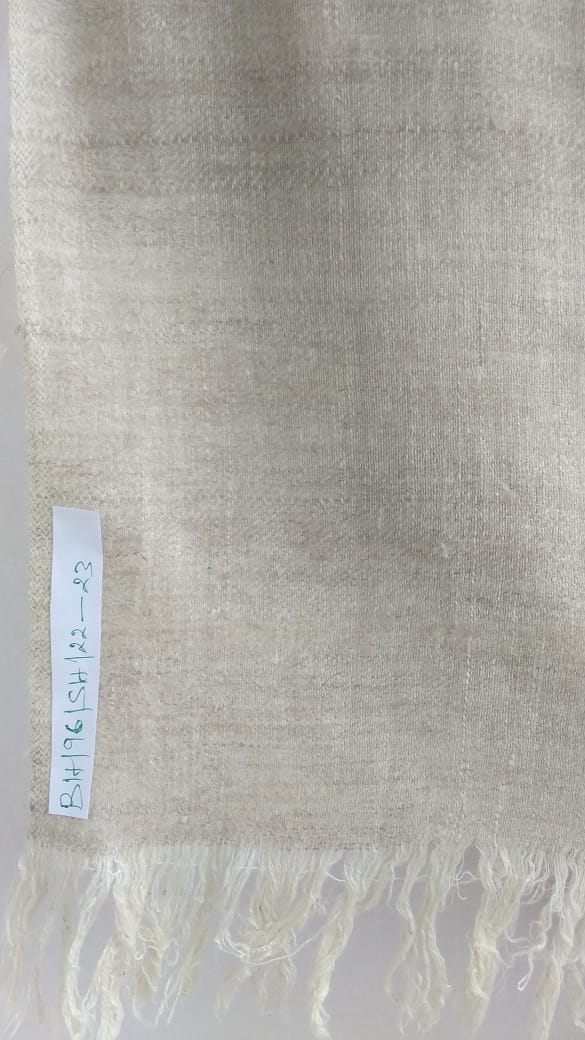 Pashmina Shawl BH-96-SH-22-23