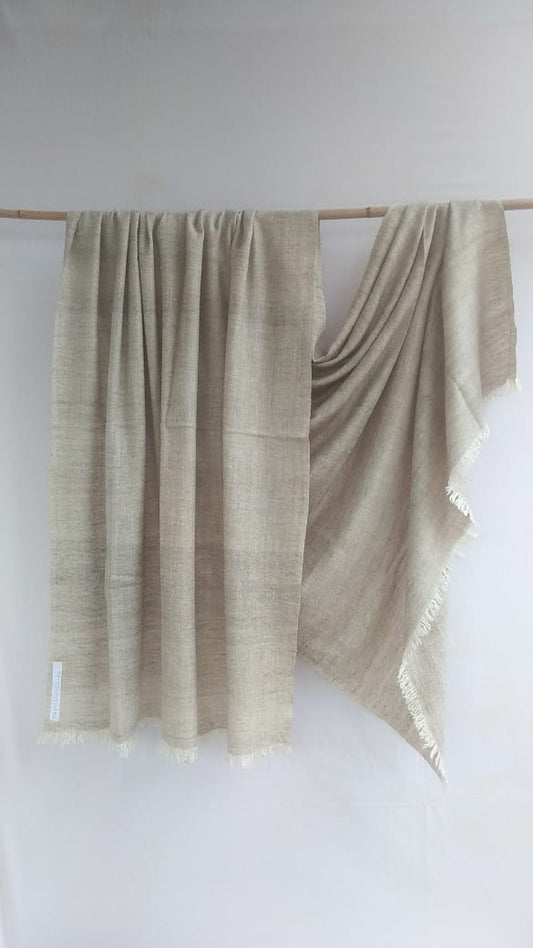 Pashmina Shawl BH-95-SH-22-23