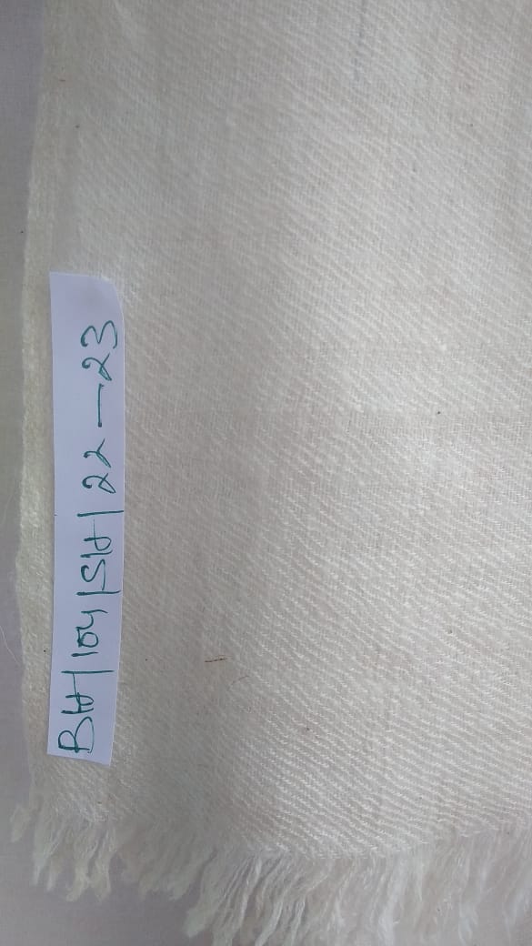 Pashmina Shawl BH-104-SH-22-23