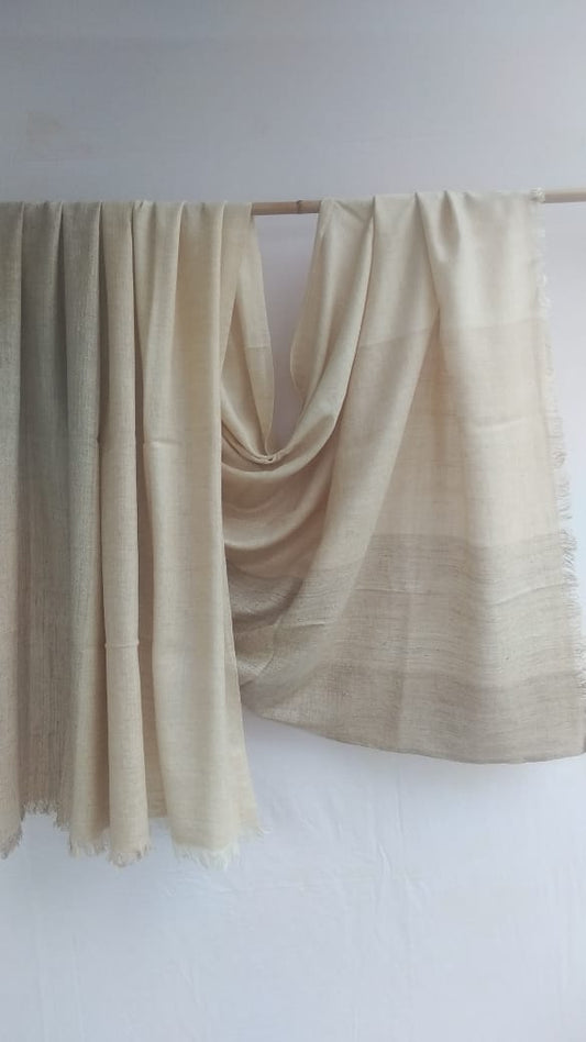 Pashmina Shawl BH-97-SH-22-23