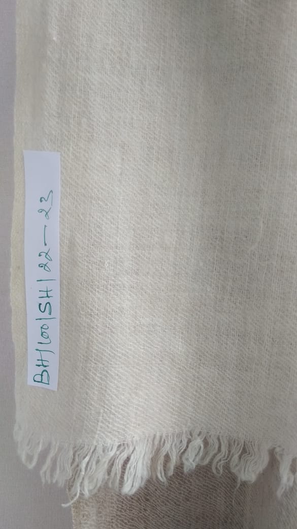 Pashmina Shawl BH-100-SH-22-23