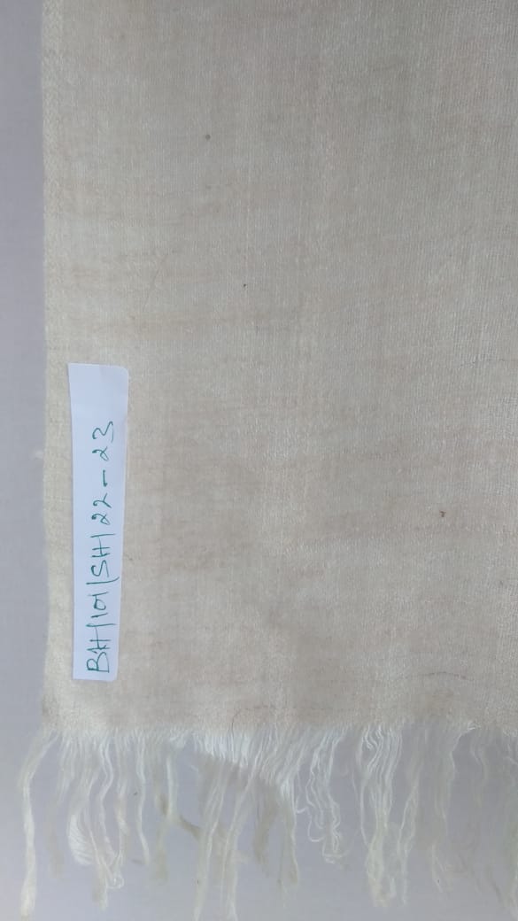 Pashmina Shawl BH-101-SH-22-23
