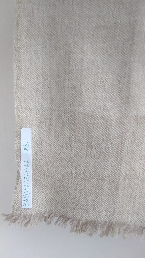 Pashmina Shawl BH-102-SH-22-23