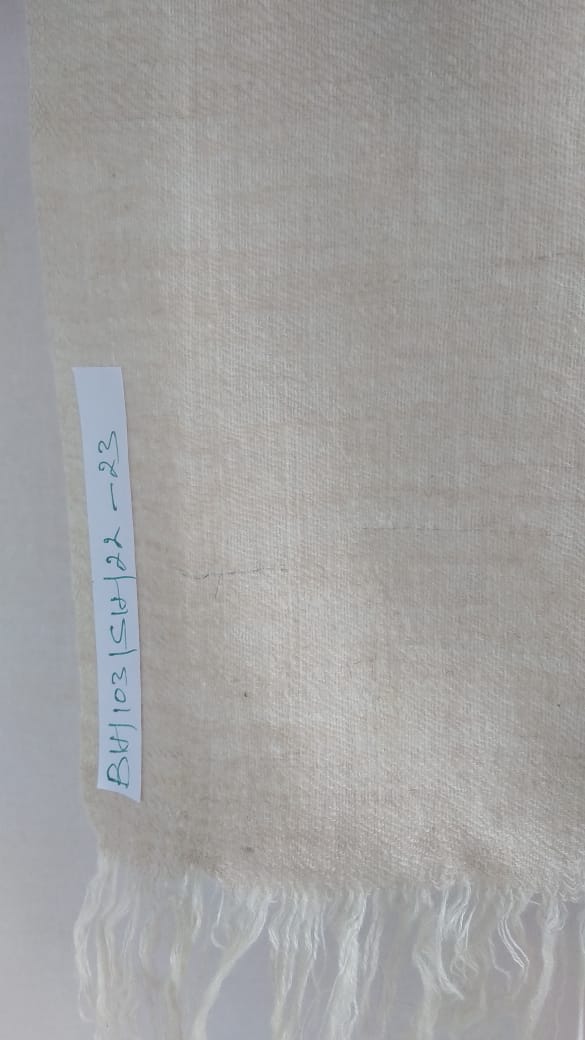 Pashmina Shawl BH-103-SH-22-23