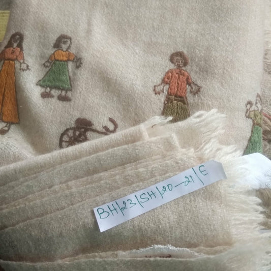 Pashmina Shawl BH-23-SH-20-21-E