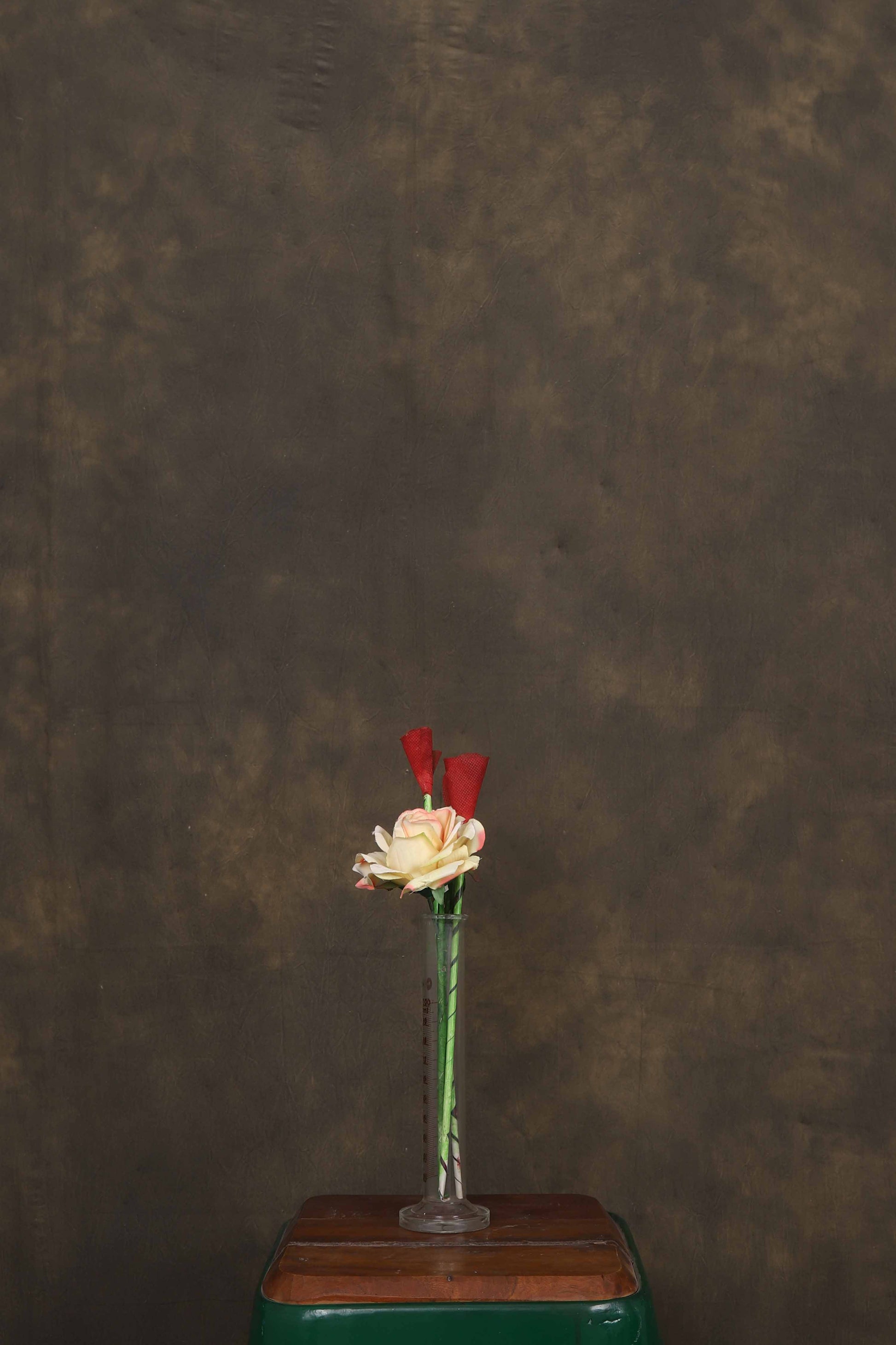 Hand Painted Mottled Photography Studio Backdrop