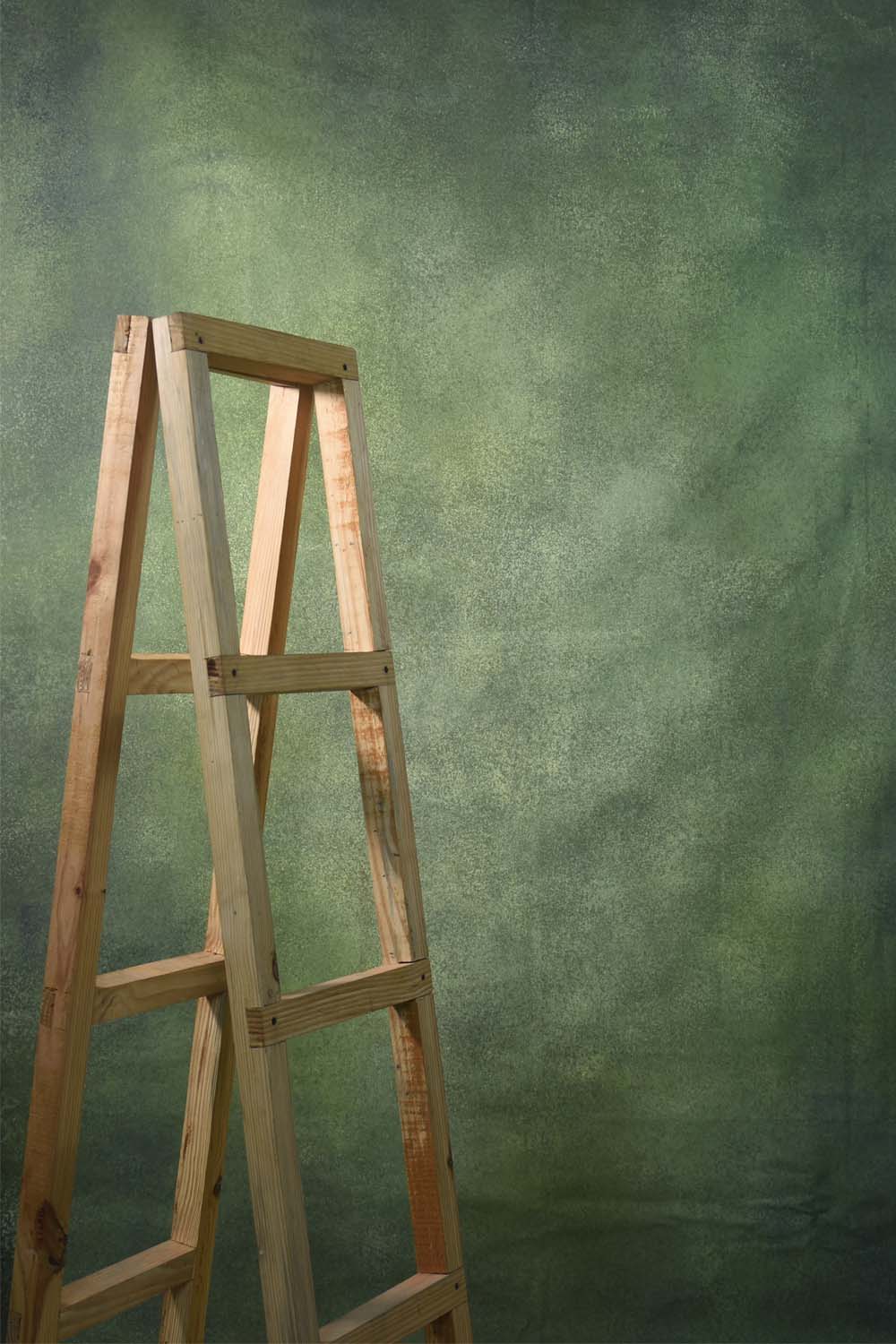 Canvas Green Texture Painted Backdrop 510