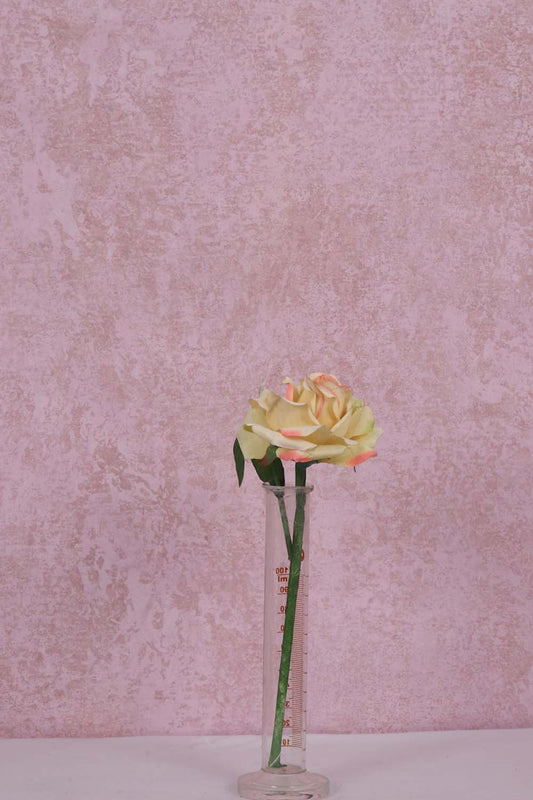 Canvas Painted Backdrops 536