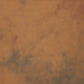 Brown Orange Hand Painted Mottled Muslin Photography Backdrop