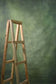 Canvas Green Texture Painted Backdrop 510